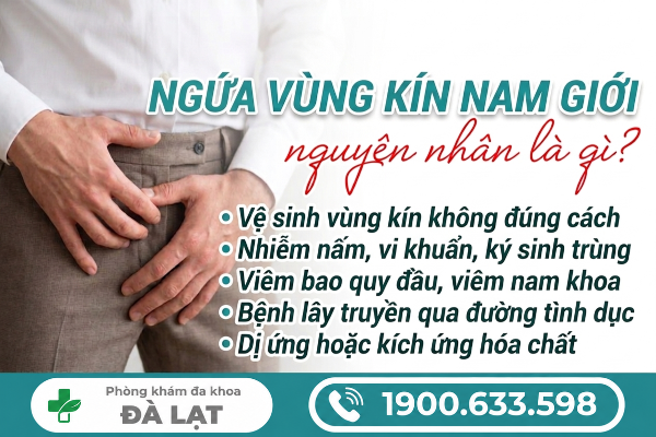 Hình ảnh minh họa